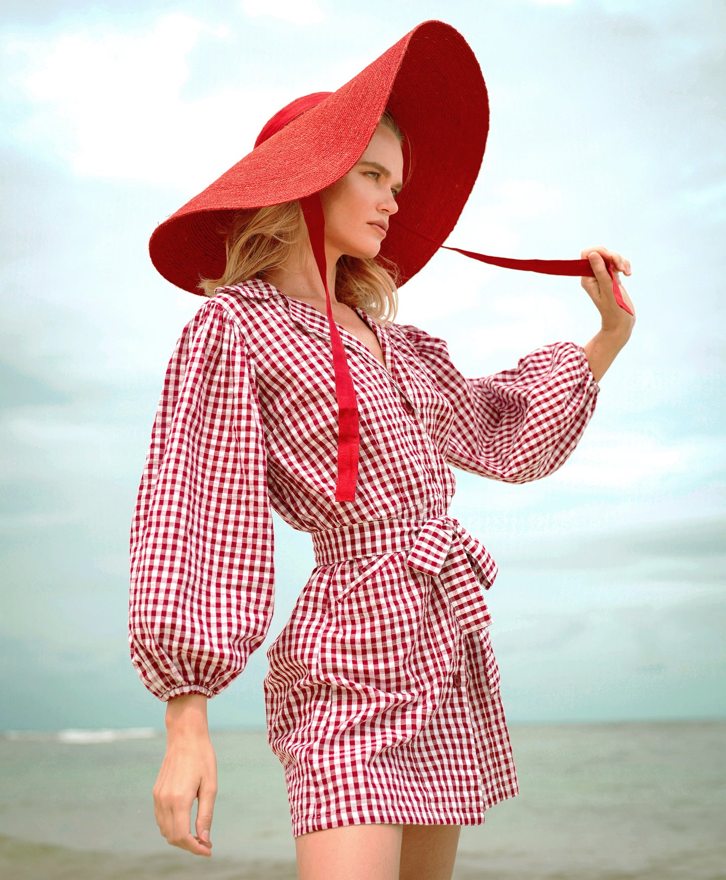 Maelys Gingham Red Cotton Mini Dress